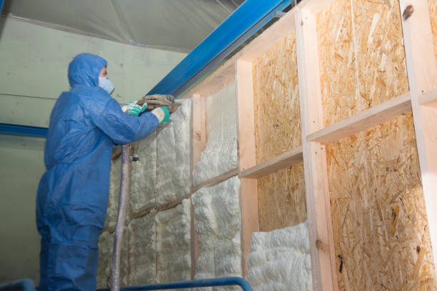 Best Wall Insulation Contractor  in , NV