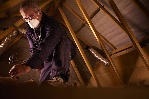 Best Residential Insulation Services  in , NV